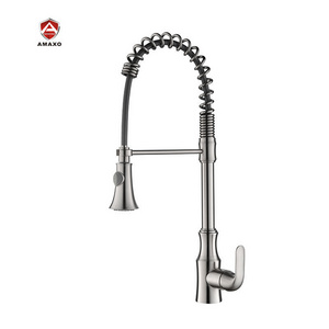 Universal Rotatable Tap Extender Swivel Extension Spring Pull Out Pull Down Sprayer Kitchen Faucet