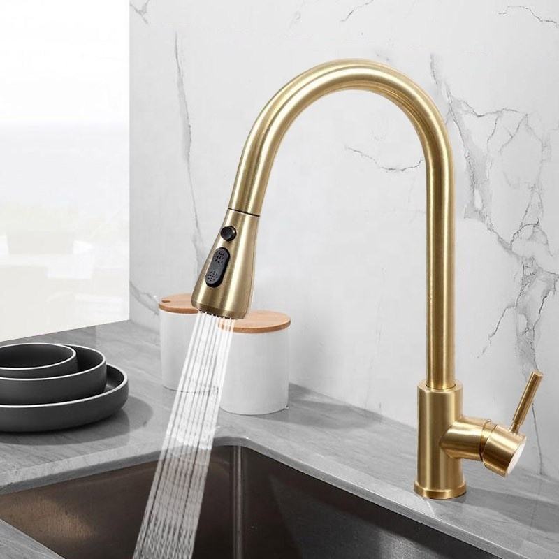 AMAXO High Quality Flexible Hose Spout Stainless 304 Faucet for Kitchen Extension Pull Down CLASSIC Stainless Steel Modern