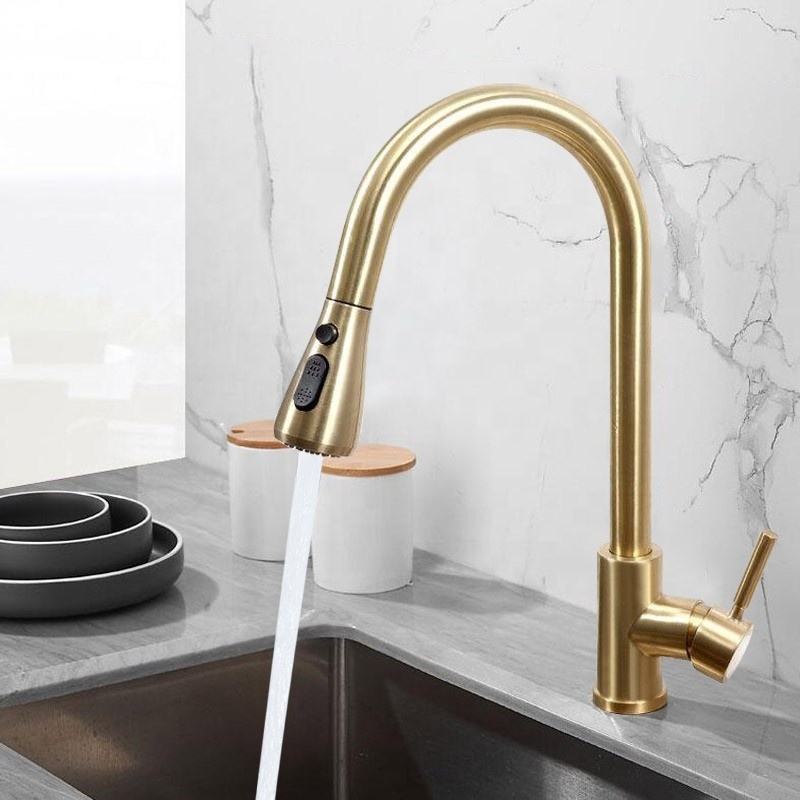 AMAXO High Quality Flexible Hose Spout Stainless 304 Faucet for Kitchen Extension Pull Down CLASSIC Stainless Steel Modern