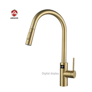 Aida Brushed Gold Kitchen Faucets Mixer Stainless Steel Kitchen Faucets Sprayer Digital Display Sensor Kitchen Faucets Sink