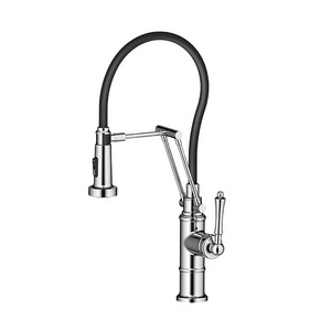 Aida Hose Fashion Pull Down Brass Water Tap Sprayer Sink Faucets Pull Out Kitchen Faucet