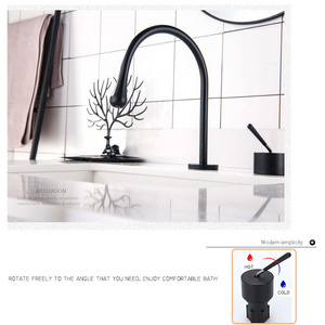 Widespread Bathroom Faucet in black 2 hole in Bathroom Sink Faucet