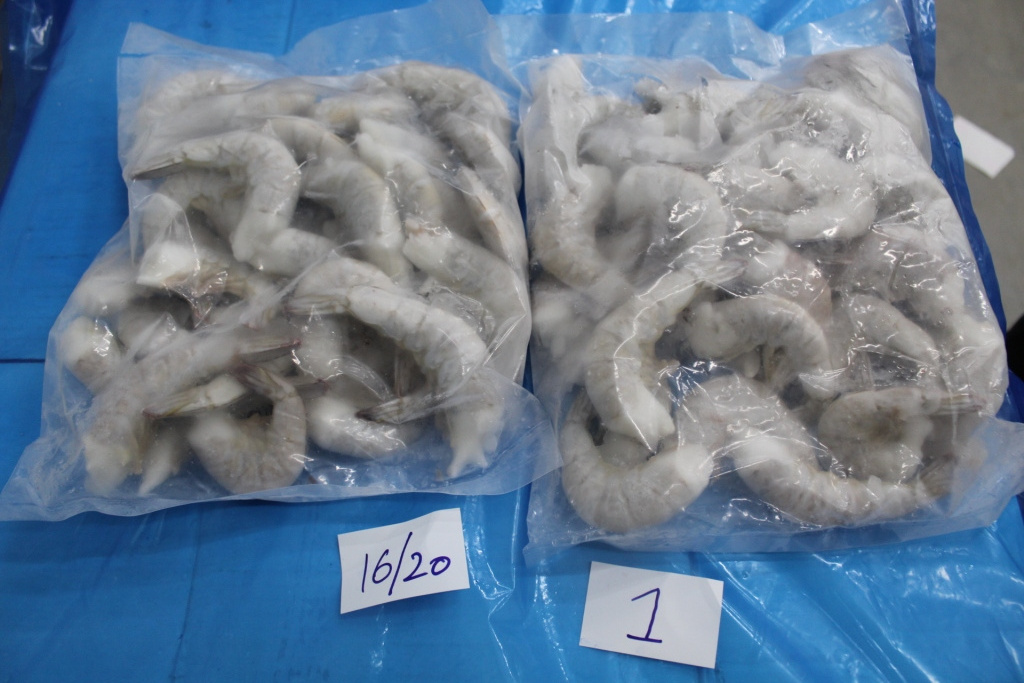 FROZEN RAW IQF HLSO  VANNAMEI WHITE SHRIMPS