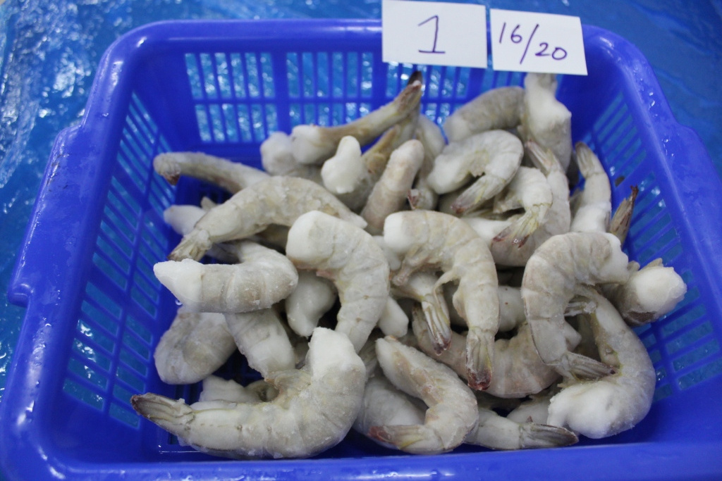 FROZEN RAW IQF HLSO  VANNAMEI WHITE SHRIMPS