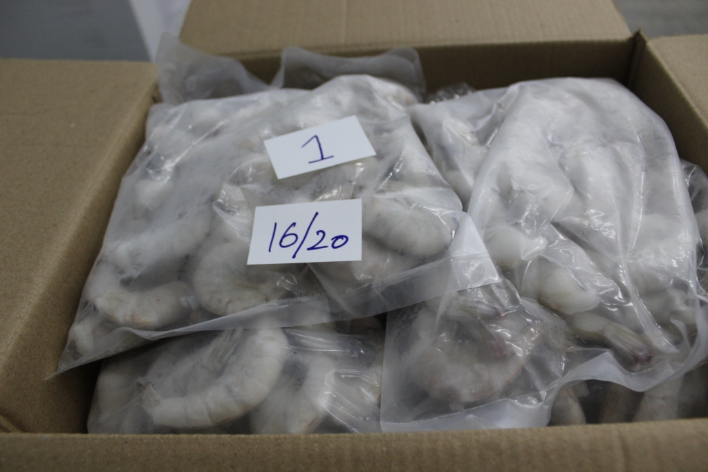 FROZEN RAW IQF HLSO  VANNAMEI WHITE SHRIMPS