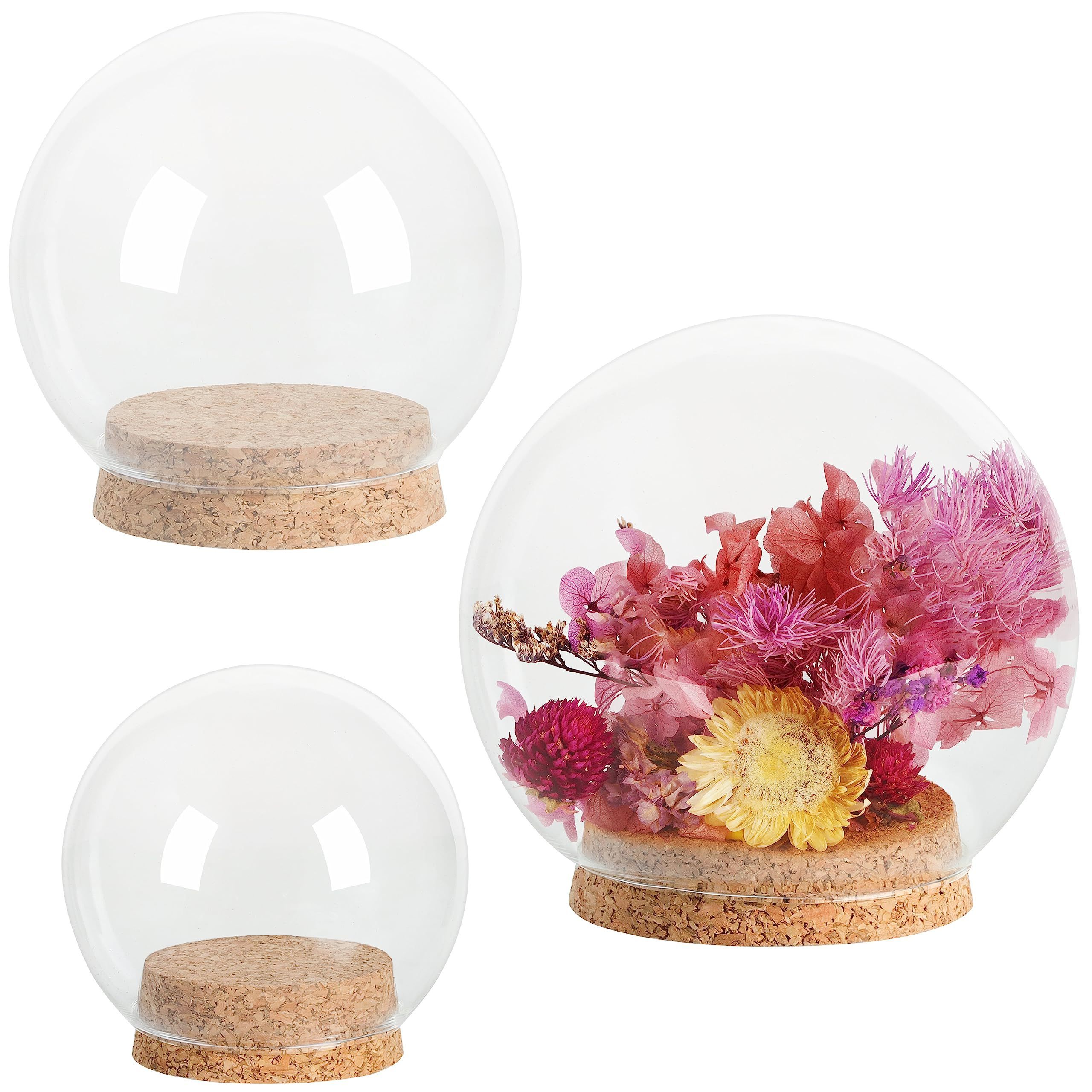 3PCS/Set DIY Gifts Round Glass Ball Display Dome With Wooden Cork Base for Home Wedding Parties Decoration