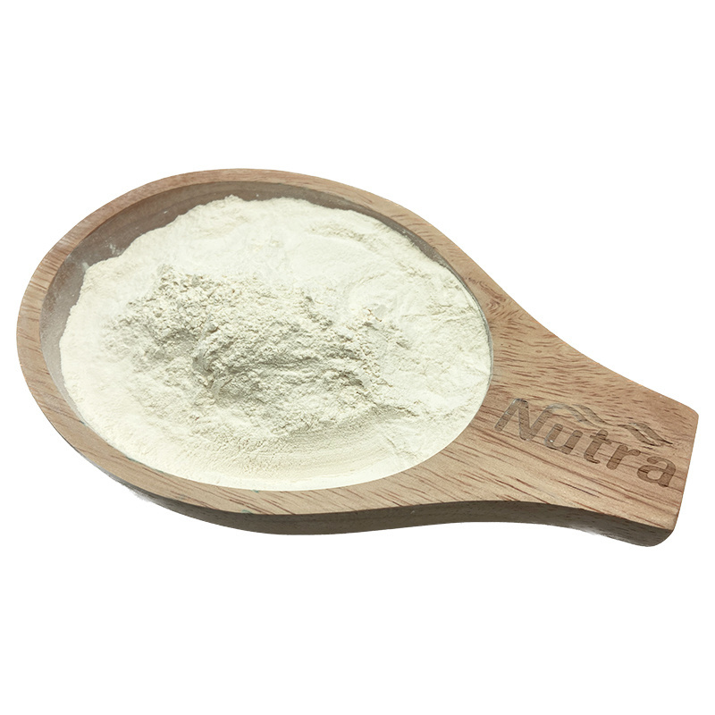 Factory Price Almond Protein Powder Food Grade