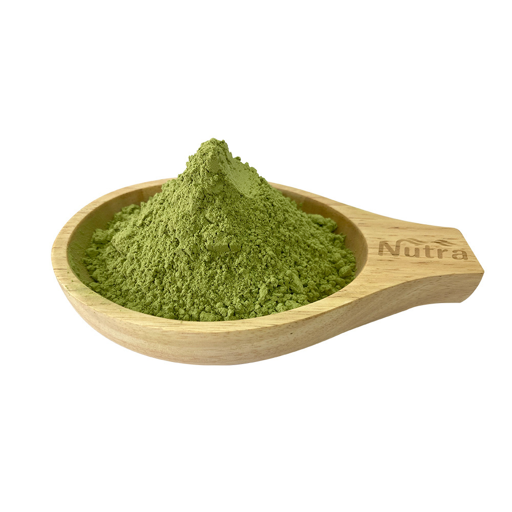 Organic Barley Grass Powder Wholesale Bulk Price Organic Pure Barley Grass Juice Extract Powder