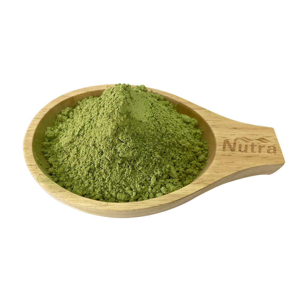 Organic Barley Grass Powder Wholesale Bulk Price Organic Pure Barley Grass Juice Extract Powder