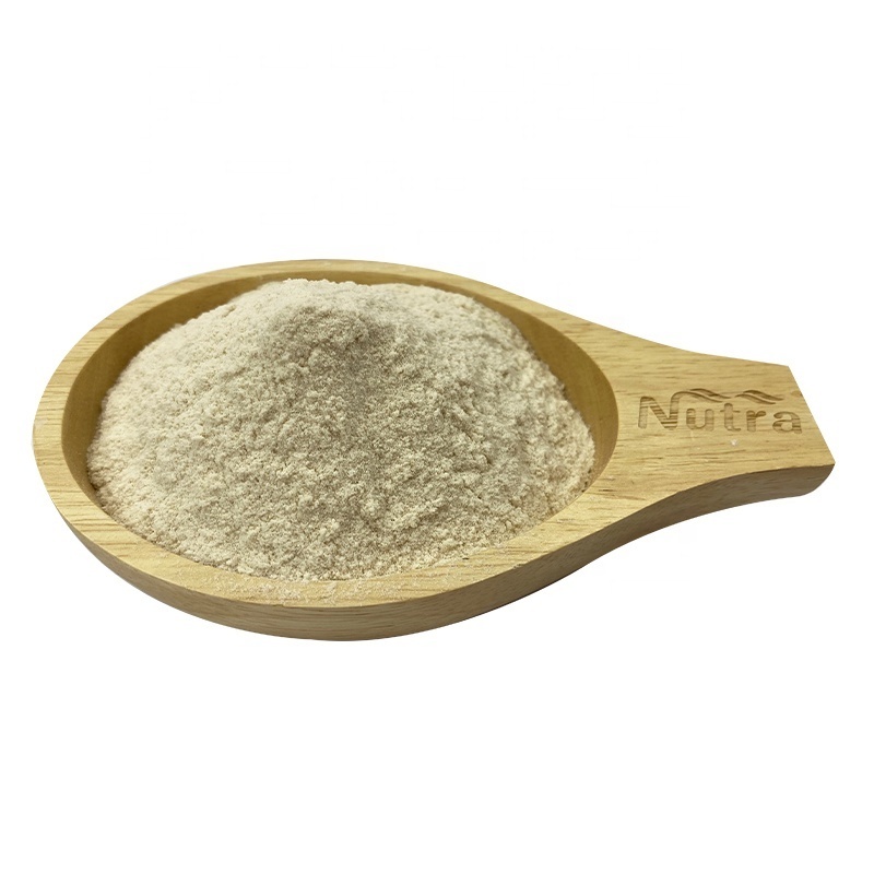 Organic Wheat Protein Powder Factory Price Wheat Gluten