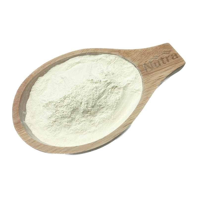 Factory Price Almond Protein Powder Food Grade