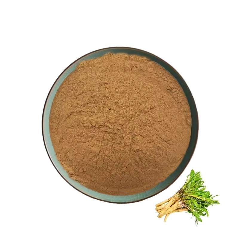 Top Quality Whosale  Natural  Warehouse Horseradish Extract  Extract Powder  100% Natural