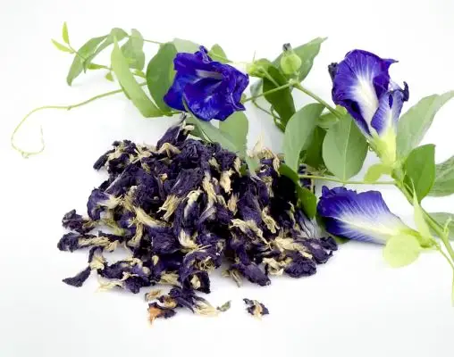 Herbal tea ingredient Blue Butterfly pea Flower Dried- 15 kg / bag