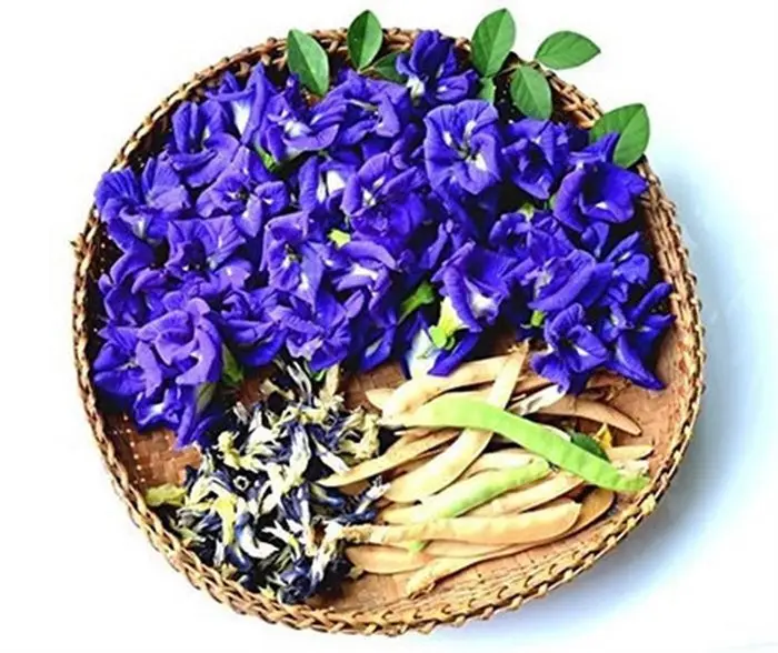 Herbal tea ingredient Blue Butterfly pea Flower Dried- 15 kg / bag