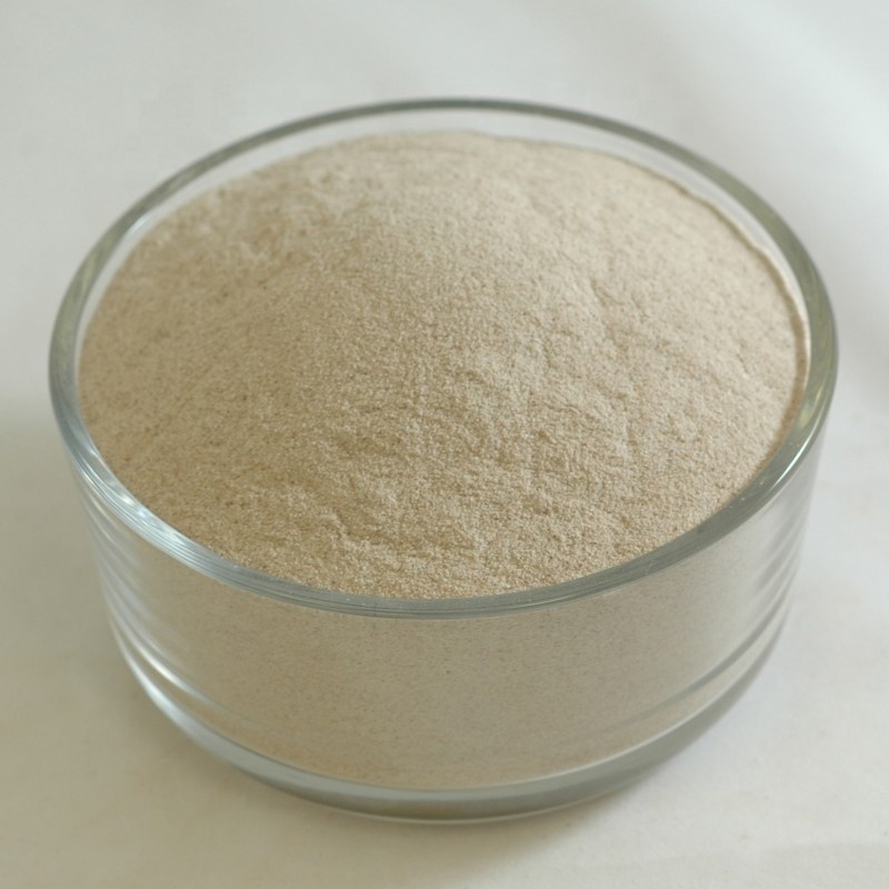 Best Price Organic Psyllium Husk Powder Psyllium Seed Husk Powder