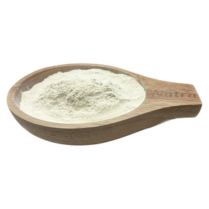 Factory Price Almond Protein Powder Food Grade