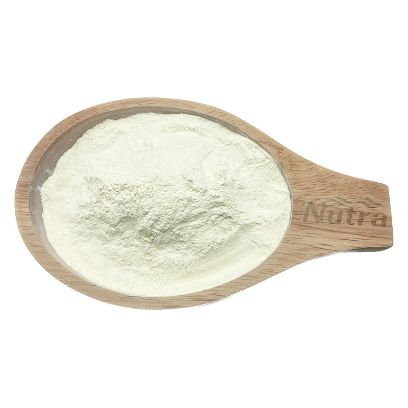 Factory Price Almond Protein Powder Food Grade