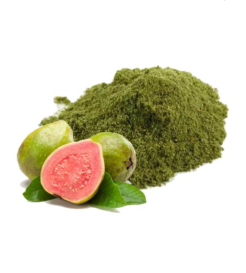 Supply High Quality  Guava Leaf Powder Free Sample Best Price Guava Leaf Powder For Sale