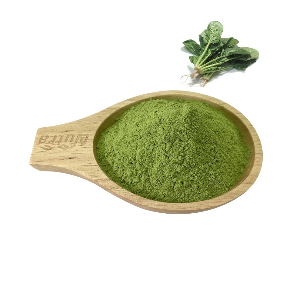 Top quality Factory Supply  Organic Spinach Powder  Food Grade 100% Natural Vegetable Powder