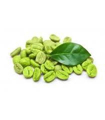 Green Coffee Bean Extract Hot Sale Nutritional Supplement Organic Green Coffee Bean Extract Powder