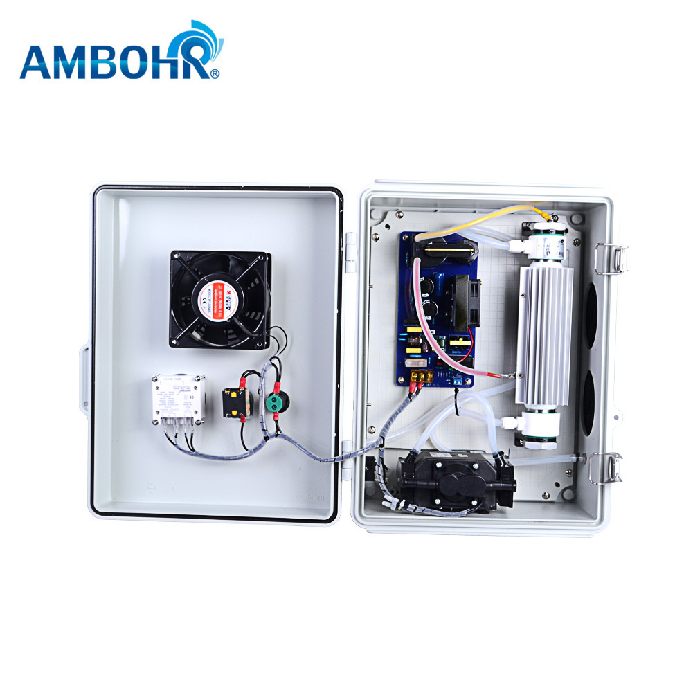 AMBOHR A10BF cheap price 10g air source ozone generator for drinking water