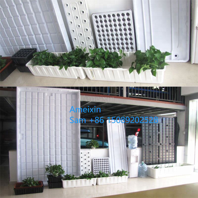 Hot Sell factory wholesale price hydroponics trays 4x8 trays  Large factory wholesale price hydroponics barley growing trays