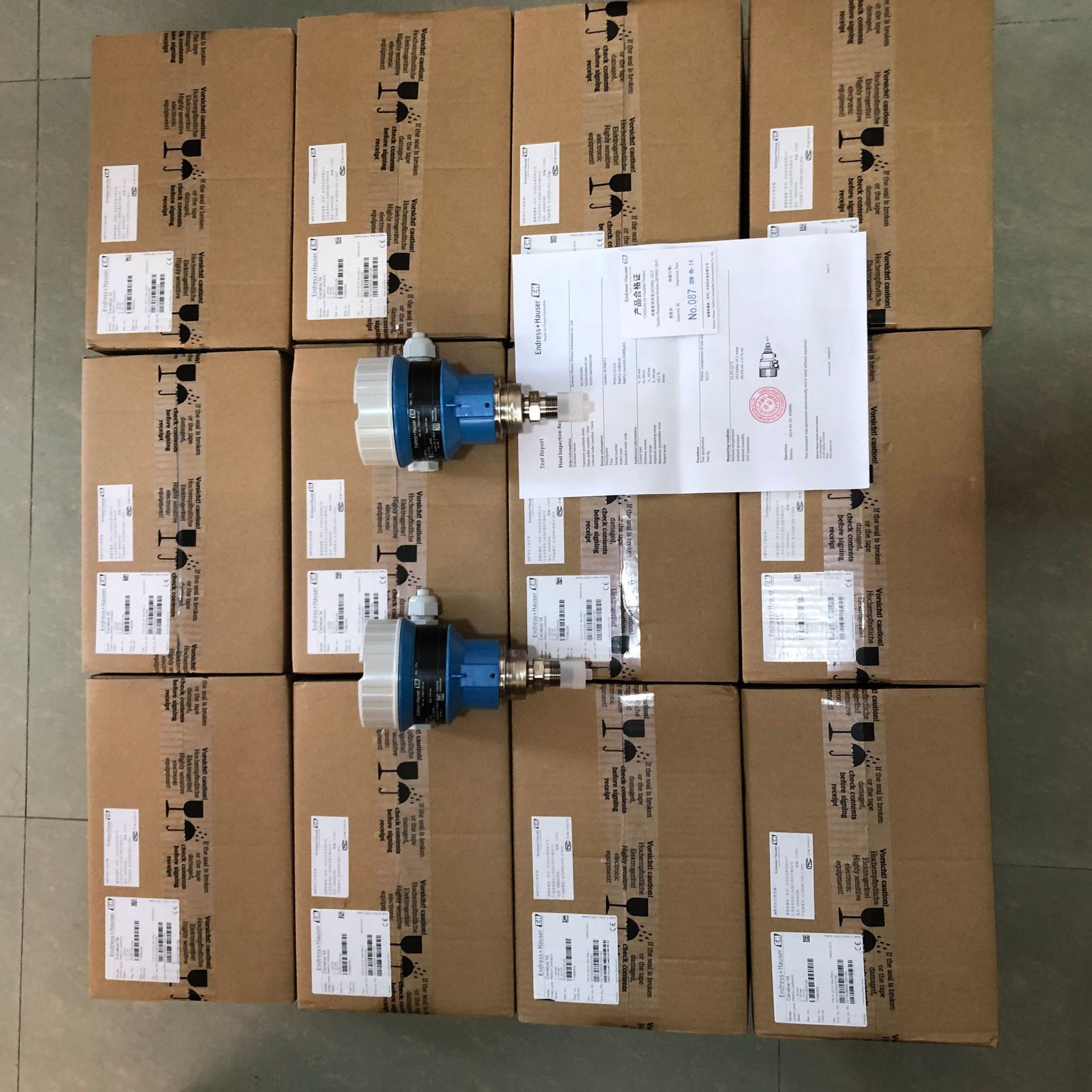 E+H/Endress+Hauser CerabarS PMP71 pmp51 Absolute And Gauge Pressure transmitter