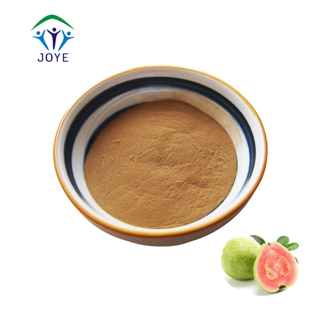 Plant Kava Root Extract Kavalactone Powder CAS 9000-38-8 70% 30% Kava Extract