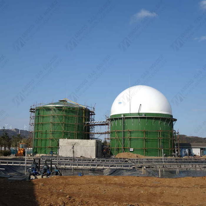 Biogas Digester Roof Balloon