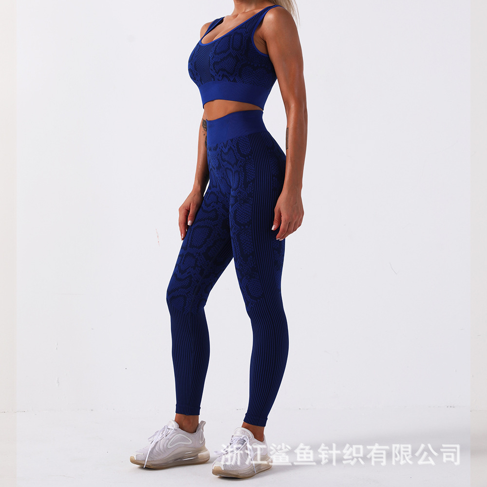 Women Gym Suit Wholesale Sport Bra Tops Snake Skin Print Yoga Leggings Set Two Pieces pants Ladies Workout Fitness Gym Wear