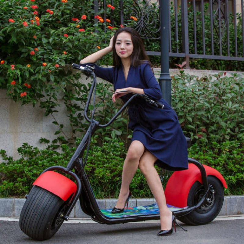 Amoto hot selling in Europe 1500w 60V 12AH/20AH Lithium Battery citycoco european warehouse fat tire electric scooter