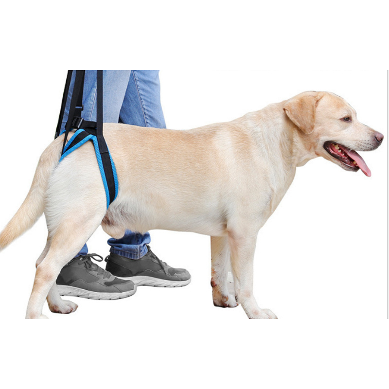 Adjustable Dog Lift Harness For Back Legs Nylon Pet Dogs Leash Assist Dog Belt Harness Pet Support Sling Help Weak Legs Stand Up