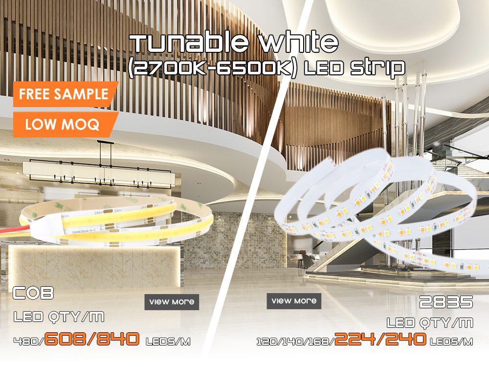 Dual Color 2835 LED Strip 2700K To 6500K 24V 12V CCT Double Color Tunable White 2835 LED Strip Light