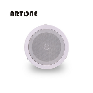 Luxury Small Or Medium Audio Sound System 6 Inch Subwoofer CS-116 Ceiling Speaker