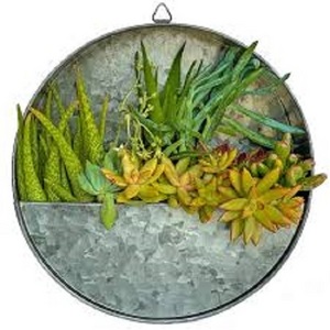 Round Galvanized Metal Hanging Wall Planter Farmhouse Style Hanging Planter for Indoor Plants Galvanized Planter Wall Decor