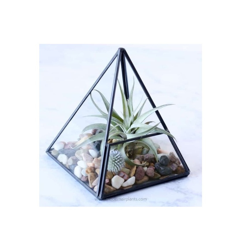 Fantastic Handmade Cheapest Price Pyramid Shape Terrarium Hanging Lanterns Wedding Metal & Clear Glass New Arrival Lighting Item