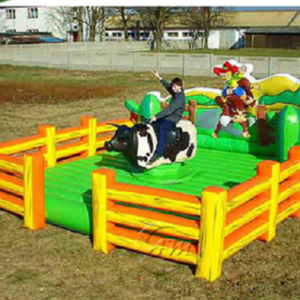 Mechanical Bull Cheap Electric Professional Inflatable Mechanical Bull Riding kids mechanical bull  Motor for Sale