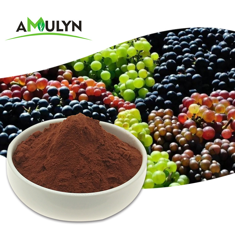 Cosmetic Grade Grape Seed Extract Proanthocyanidins 95% for Skin Whitening