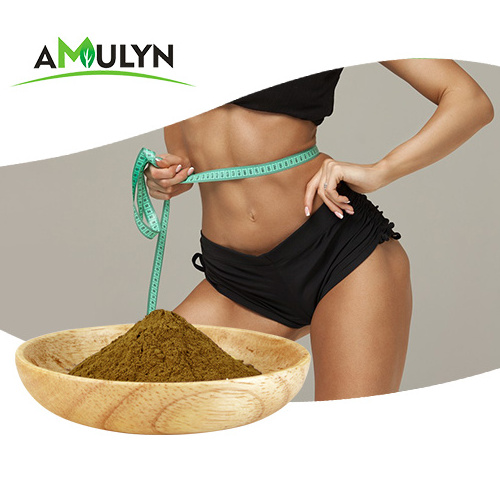 Wholesale Weight Loss Nature Lotus Leaf Extract 1% 2% Nuciferine Powder