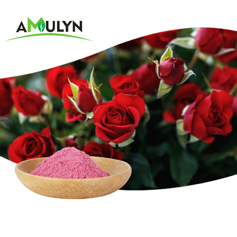 Supply Pure Rose Petal Powder Rose flower Powder Rose Extract Powder With Top Grade