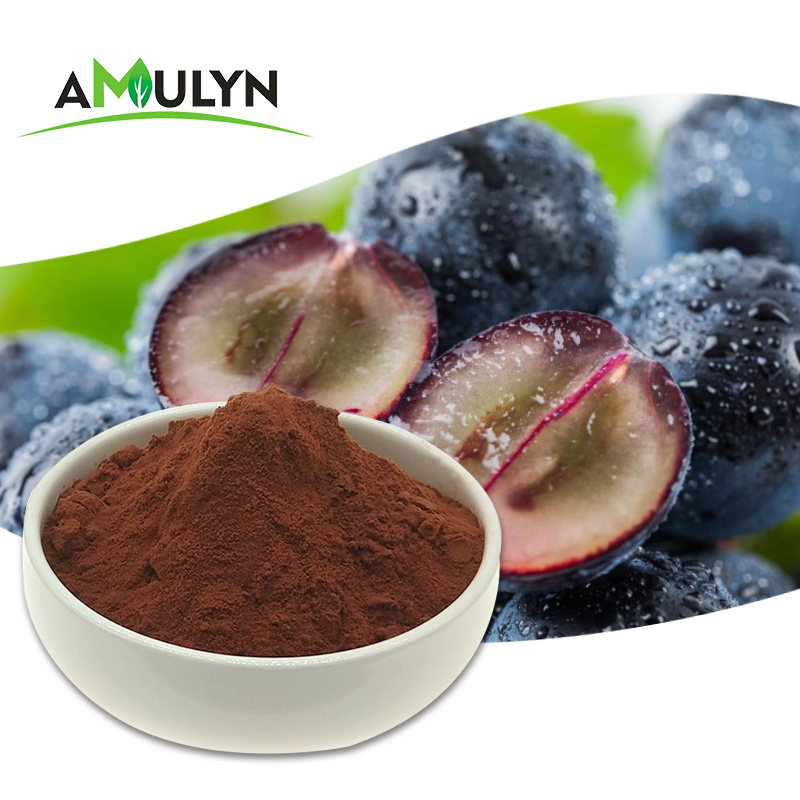 Wholesale pure Natural Proanthocyanidins 95% Skin Care Natural Product Grape Seed Extract