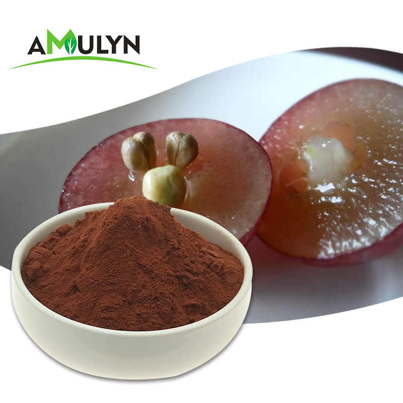 Cosmetic Grade Grape Seed Extract Proanthocyanidins 95% for Skin Whitening