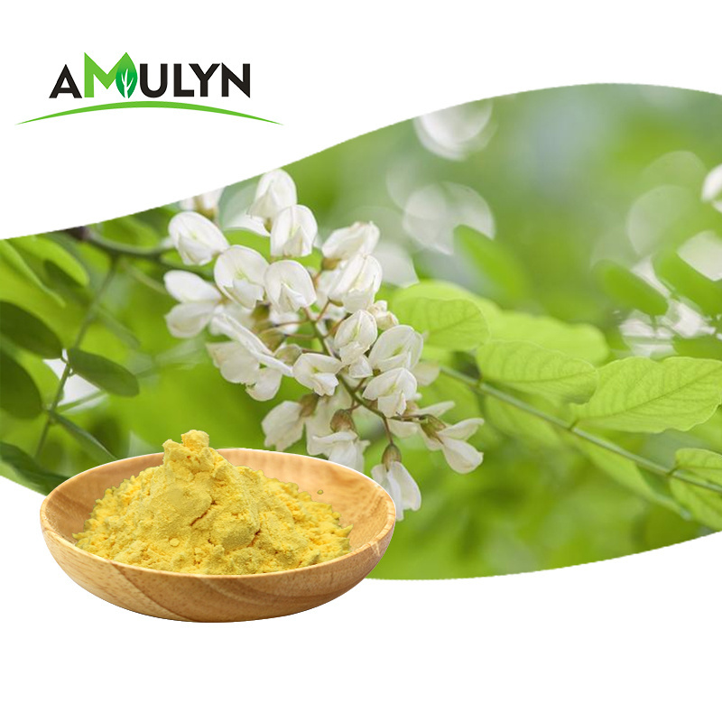 High quality Quercetin/Sophora Japonica Flower Extract 95% 98%