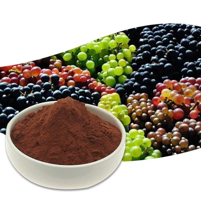 Wholesale pure Natural Proanthocyanidins 95% Skin Care Natural Product Grape Seed Extract