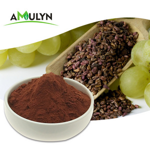 Cosmetic Grade Grape Seed Extract Proanthocyanidins 95% for Skin Whitening