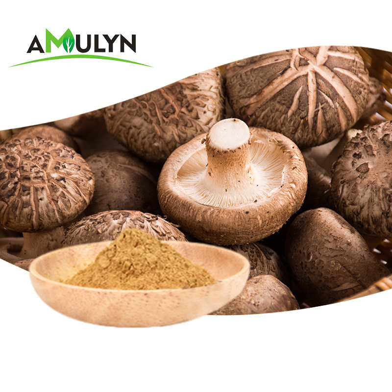 Organic Pure Powder Shiitake Mushroom Extract Powder