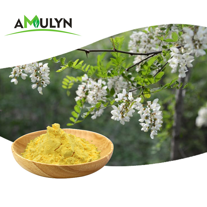 High quality Quercetin/Sophora Japonica Flower Extract 95% 98%