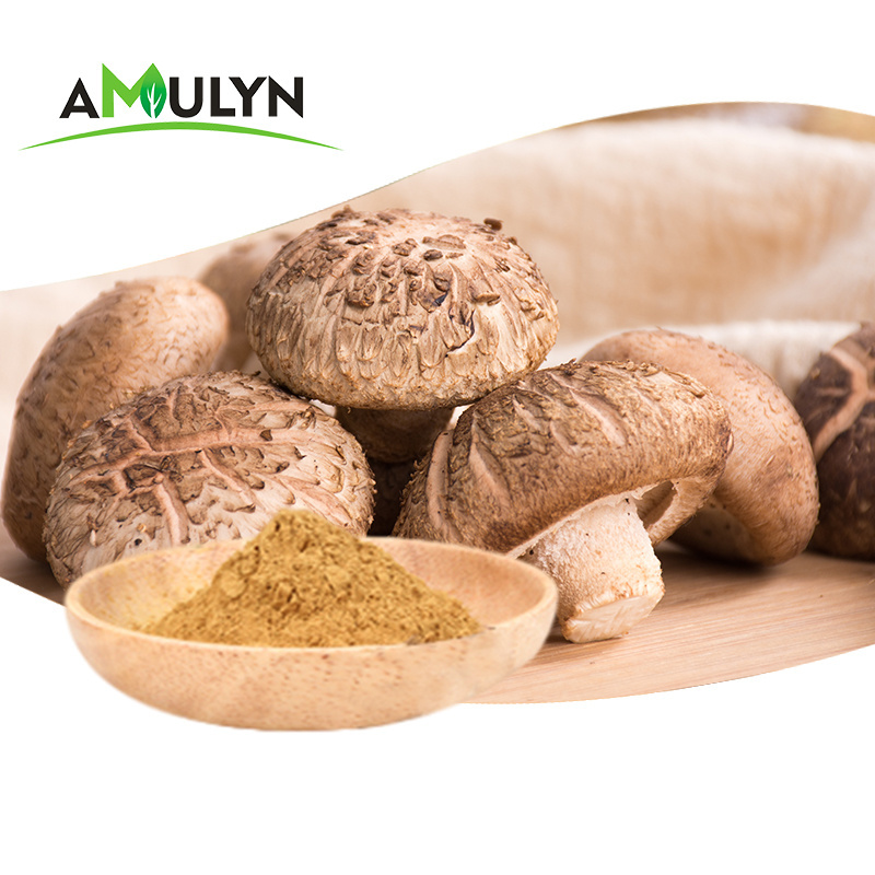 Organic Pure Powder Shiitake Mushroom Extract Powder