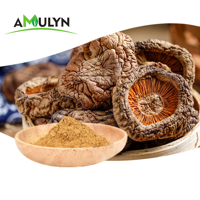 Organic Pure Powder Shiitake Mushroom Extract Powder