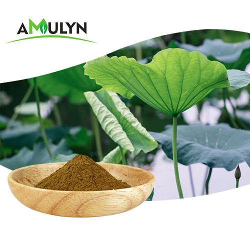 Wholesale Weight Loss Nature Lotus Leaf Extract 1% 2% Nuciferine Powder